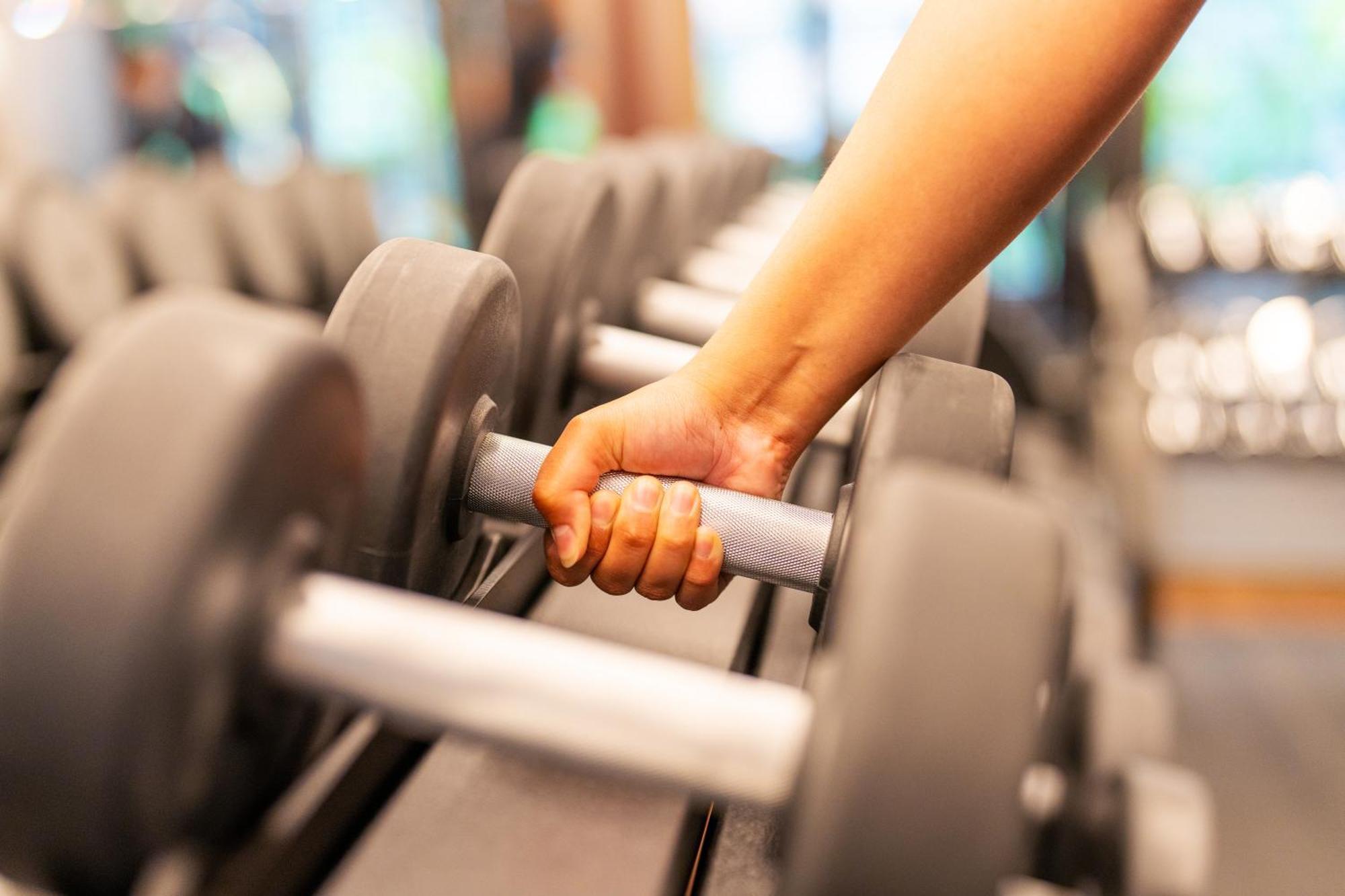 Rosewood Sao Paulo Hotel Eksteriør billede Dumbbells on a rack
